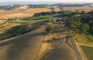 winery architect Van Duzer aerial far