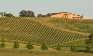 winery architect Van Duzer vineyard hill
