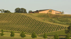winery architects