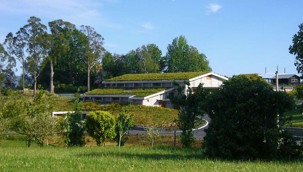 winery design woolaston grass roof